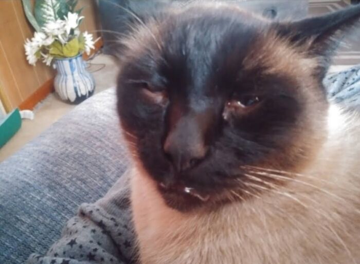 I Have Quite A Few Of This Old Man, But This Photo's Definitely A Favorite Of Mine