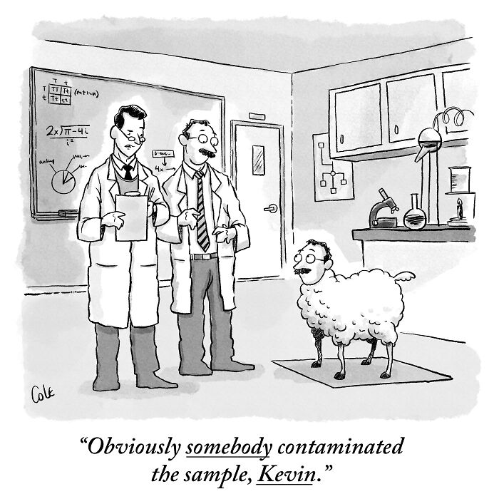 I've Been Making Single Panel Cartoons For Over A Decade. Here Are 40 Of The Best!