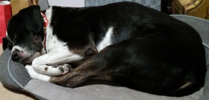 He Holds His Feet While He's Sleeping