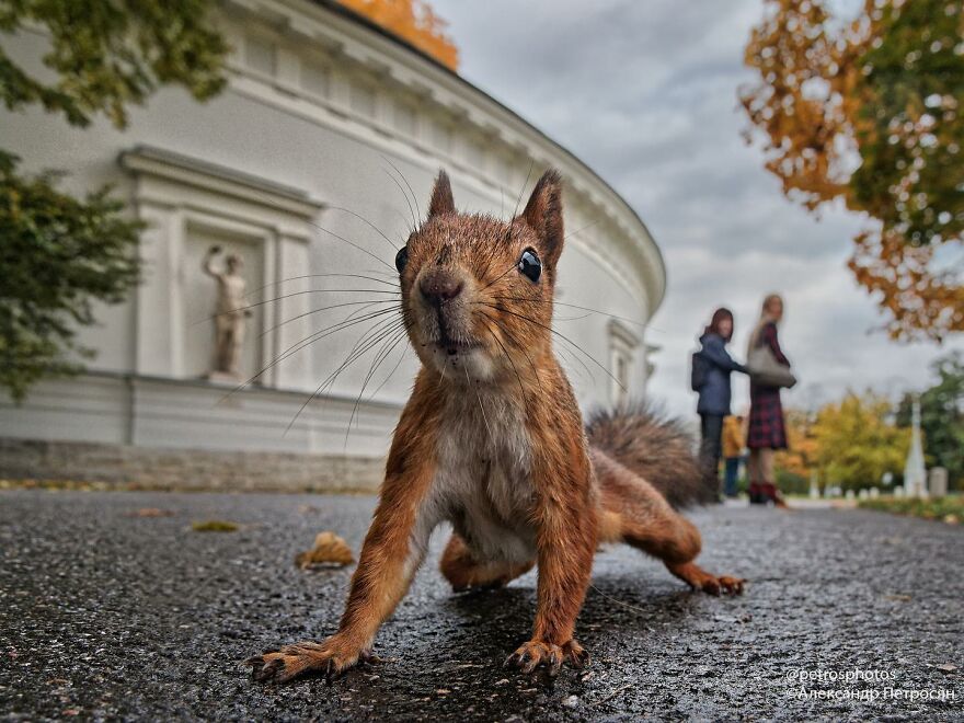 Street Photography By Alexander Petrosyan (New Pics)