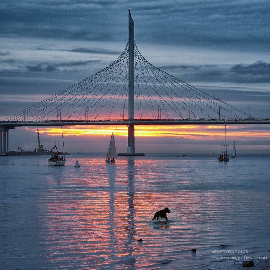 Street Photography By Alexander Petrosyan (New Pics)