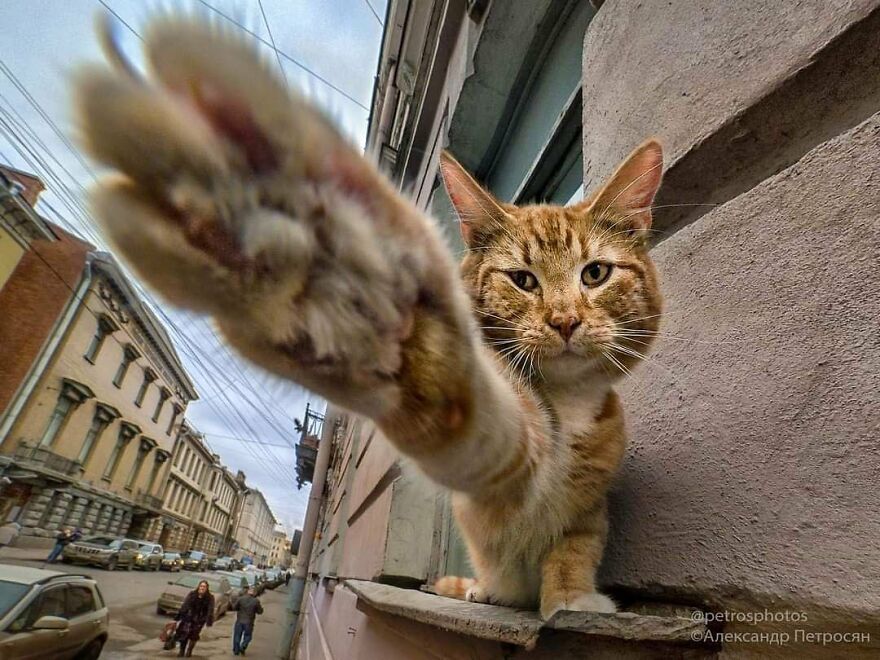 Street Photography By Alexander Petrosyan (New Pics)