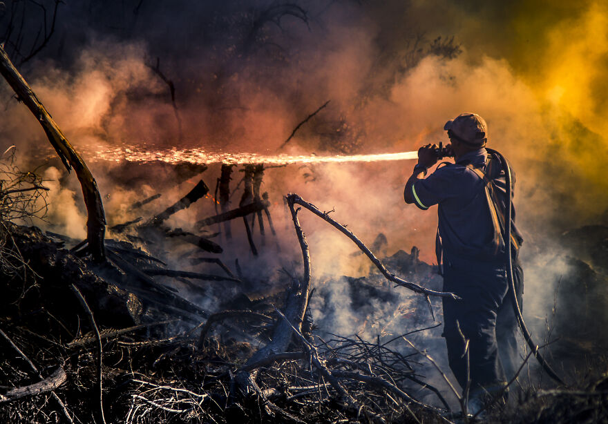Firefighter Fighting A Battle Against A Veld-Fire At Ashton Bay By Steventerblanche