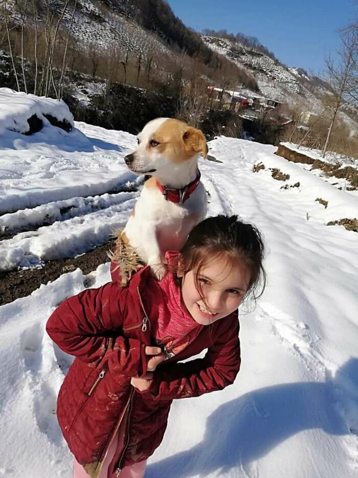 Little Village Girl Braved The Snow To Find Her Pup A Vet (6 Pics)