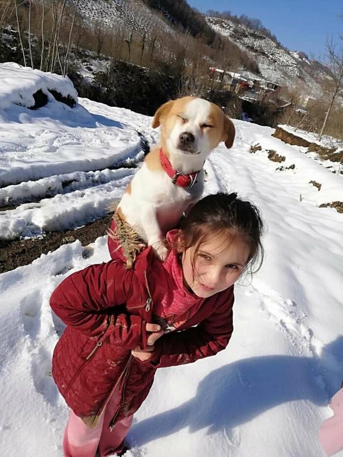 Little Village Girl Braved The Snow To Find Her Pup A Vet (6 Pics)