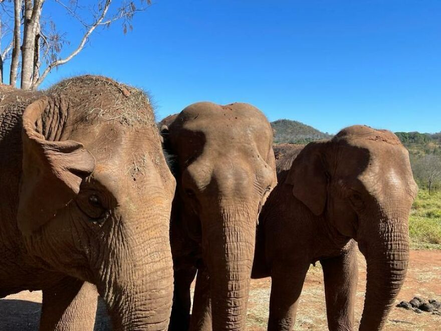These 8 Stories Of Human-Animal Bonds Will Warm Your Heart These 8 Stories Of Human-Animal Bonds Will Warm Your Heart