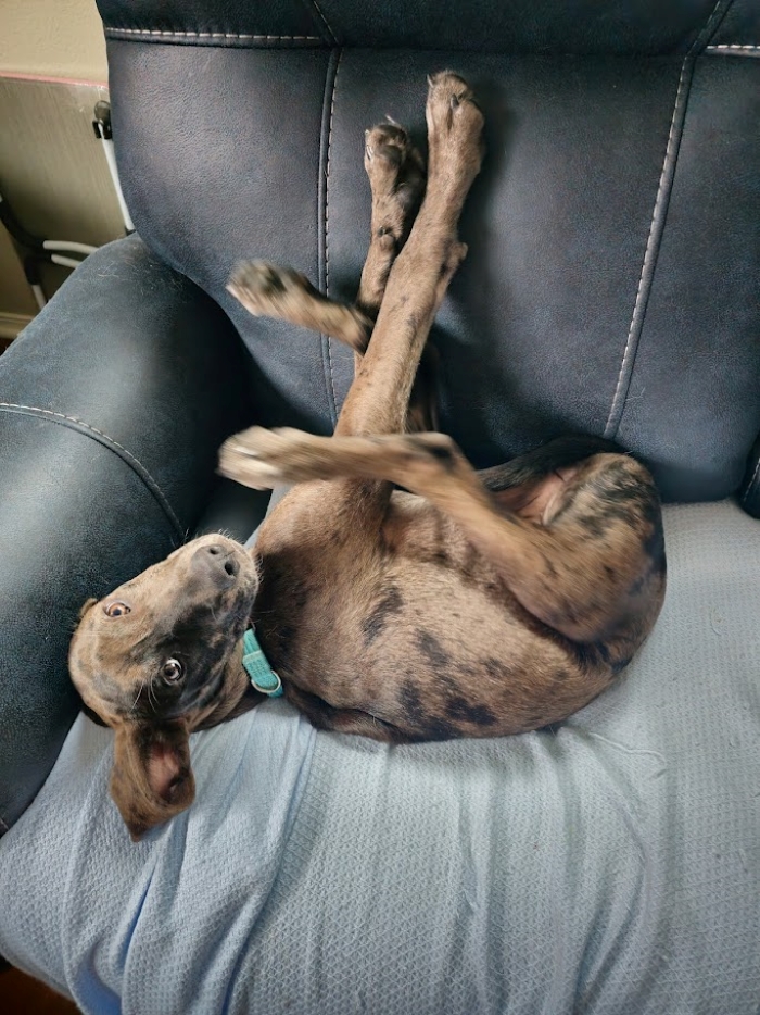 I Don't Know What To Do With My Legs