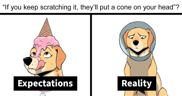 8 New Hilariously Adorable Comics About Brutus To Brighten Up Your Day