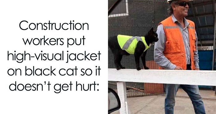 50 Wholesome Memes As Shared By This Twitter Page To Brighten Up Your Day (New Pics)