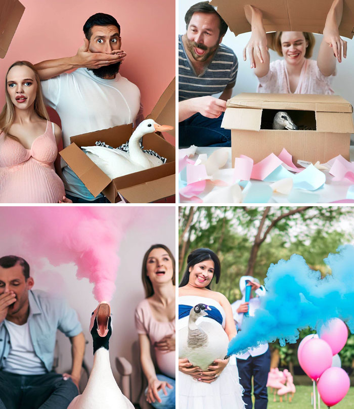 AI art fails depicted with geese in birthday and gender reveal scenarios.