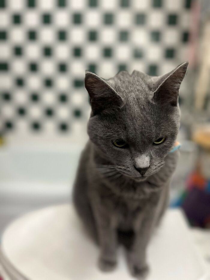 Andy Passing Judgement