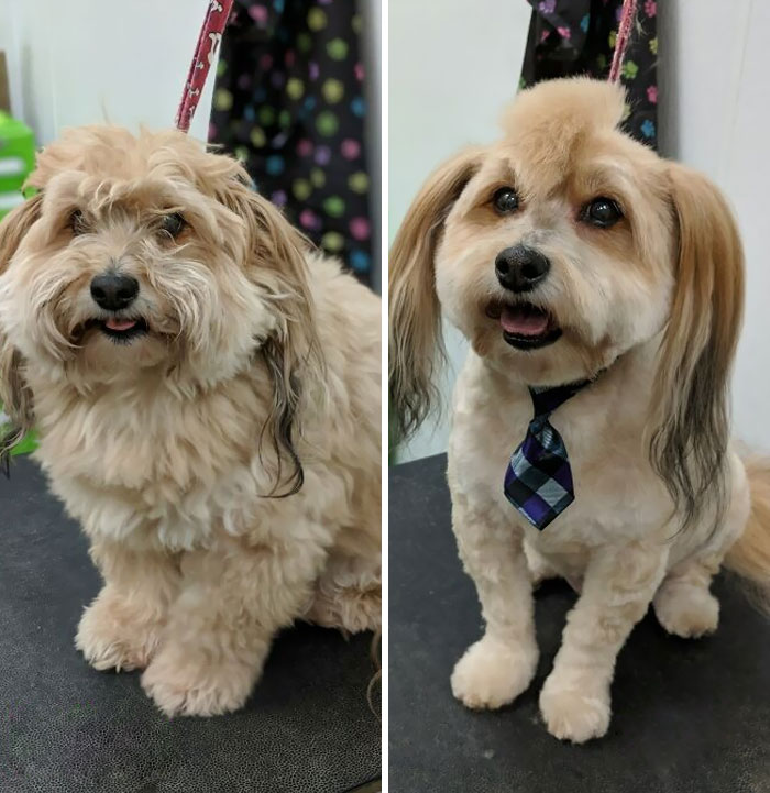 Chico The Rock Star, Before And After