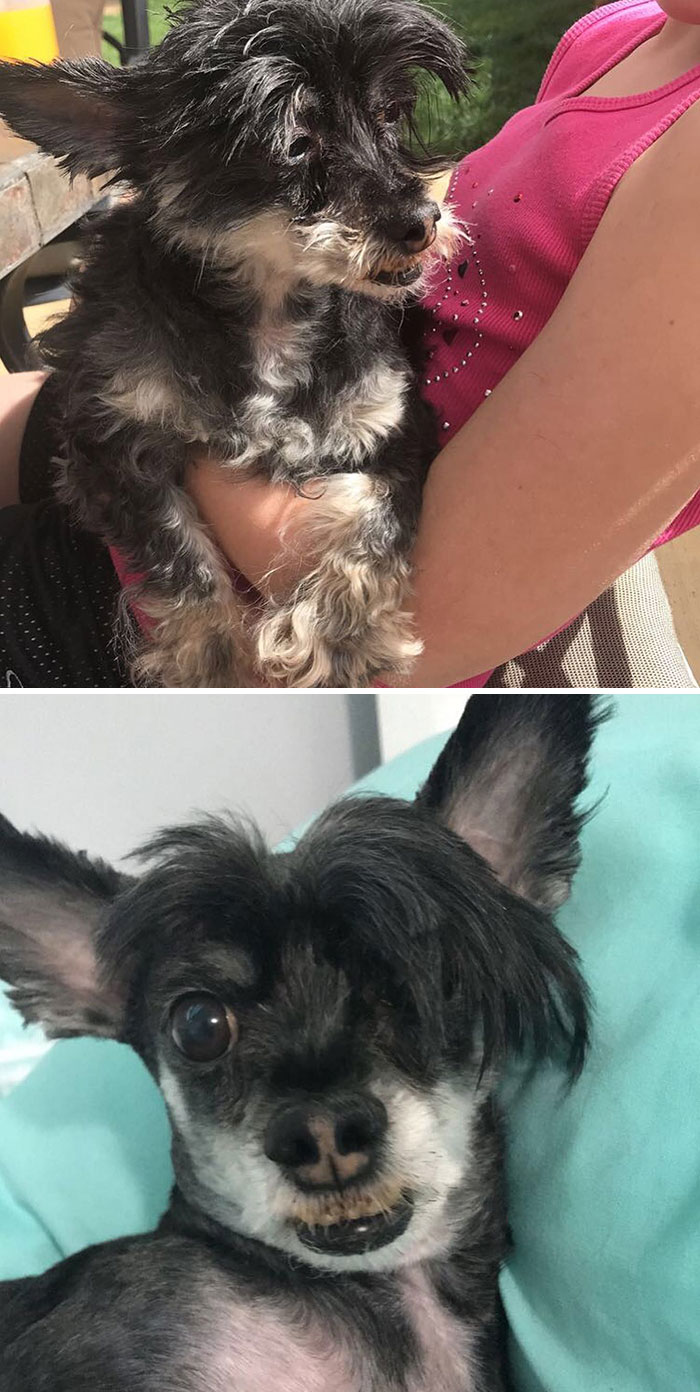 A Very Unfortunate Before And After Of Max’s Quarantine Haircut
