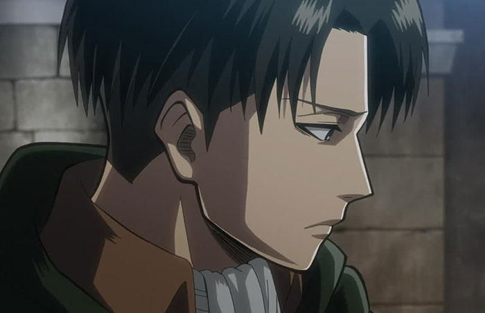 Levi Ackerman wearing brown and green outfit