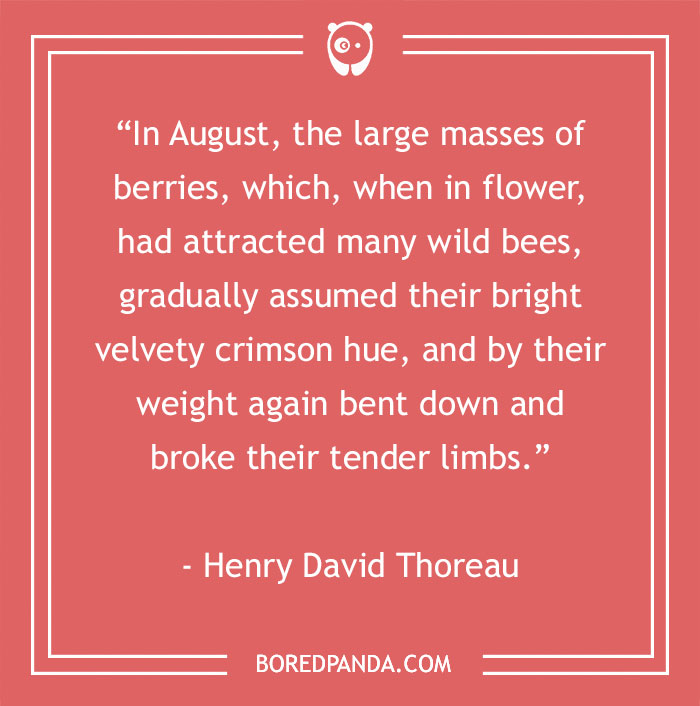 Henry David Thoreau About The Fruits Of August 
