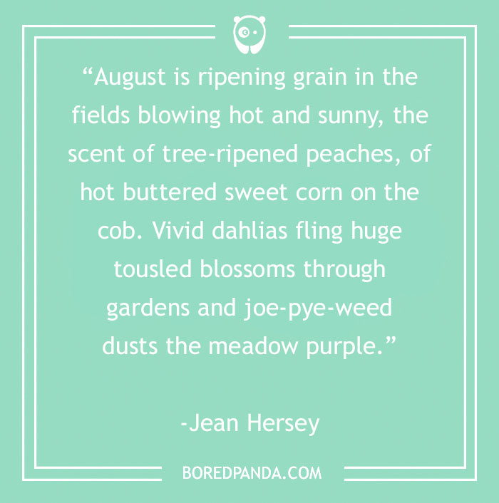Jean Hersey About Sunny August 
