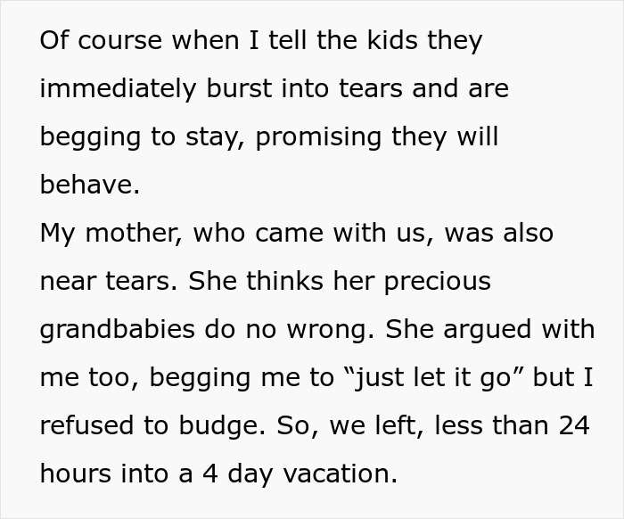 Mom Is Sick And Tired Of Her Sons' Misbehavior Whilst On Family Trip, Cancels It And Drives Home