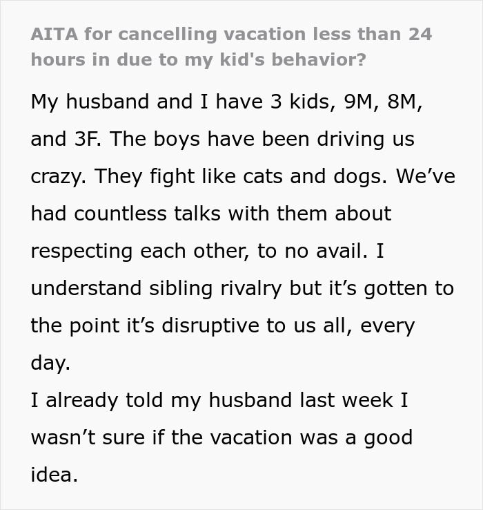 Mom Is Sick And Tired Of Her Sons' Misbehavior Whilst On Family Trip, Cancels It And Drives Home