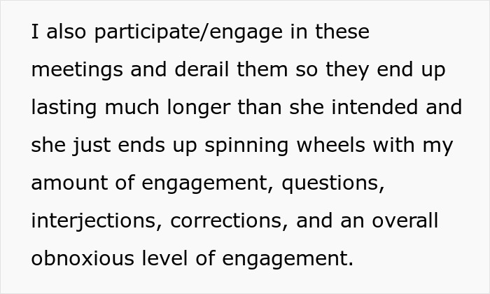 Boss Asks For Cameras To Be On And Full Engagement During Online Meets, One Worker “Delivers”