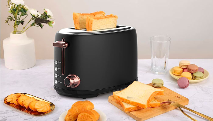 Picture of Evoloop toaster 2 slice on amazon