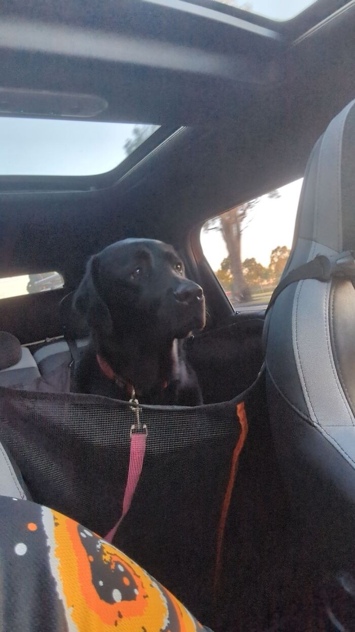 Drives With This Girl