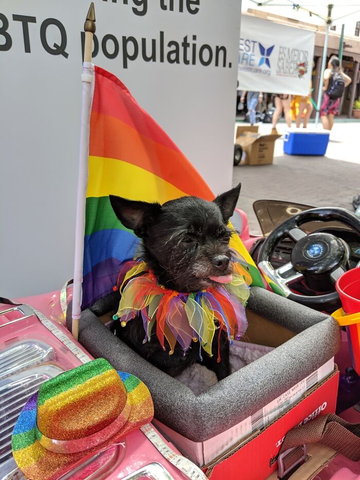 Sukoshi At Santa Fe New Mexico Pride