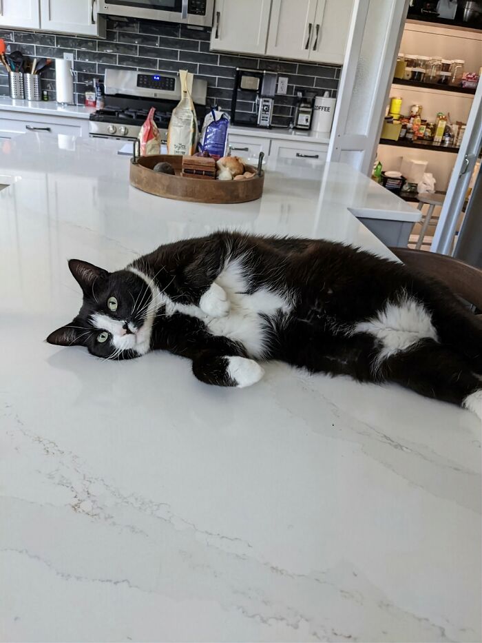 He Asks For Food Like This