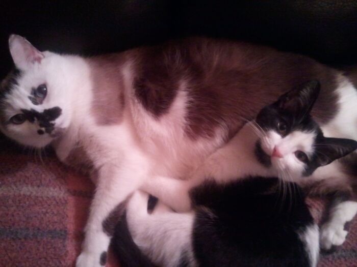 Both Of These. At Different Times I