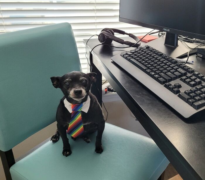 Working Hard During Pride Month