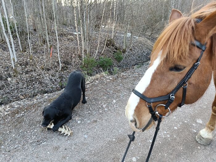 When Your Sister From Another Mother Eats Something You Cant Approve