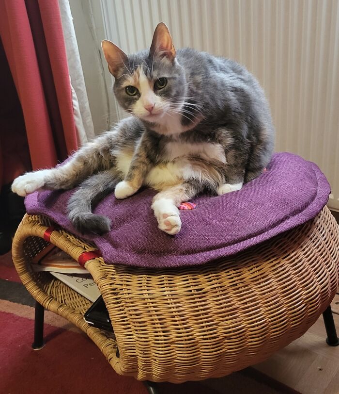 Sally's Tummy Gets In The Way Of Her Yoga