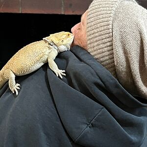 3-4kouklatrax avatar