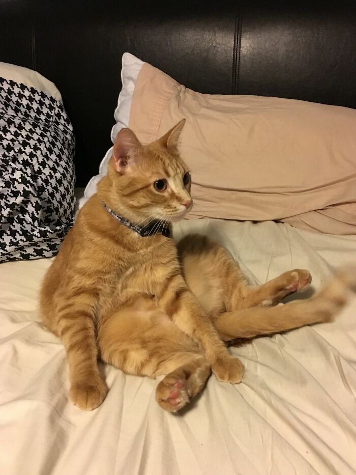 How Calvin Liked To Sit