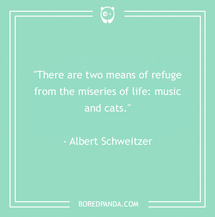 Albert Schweitzer quote about music and cats