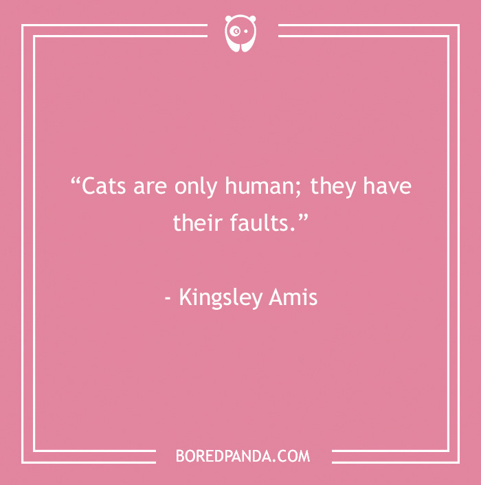 Kingsley Amis funny quote about cats