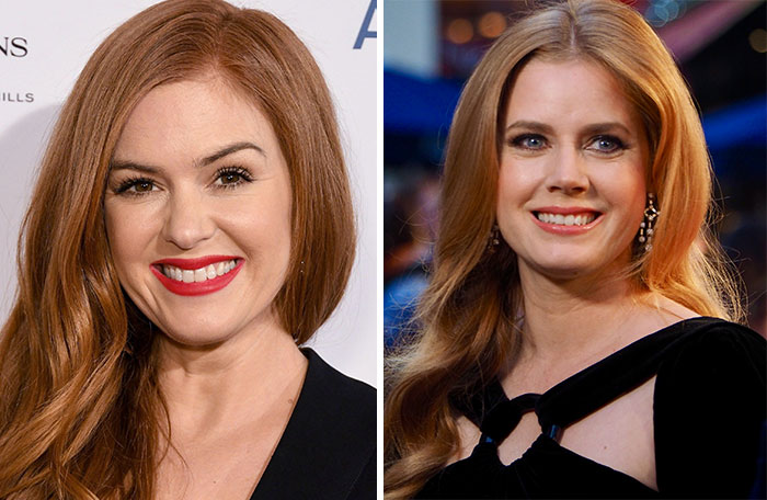 Isla Fisher And Amy Adams