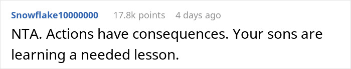 Mom Is Sick And Tired Of Her Sons' Misbehavior Whilst On Family Trip, Cancels It And Drives Home