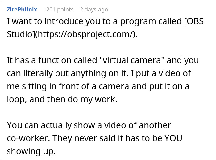 Boss Asks For Cameras To Be On And Full Engagement During Online Meets, One Worker “Delivers”