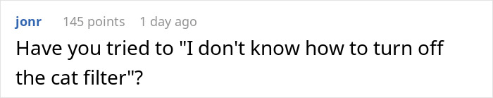 Boss Asks For Cameras To Be On And Full Engagement During Online Meets, One Worker “Delivers”