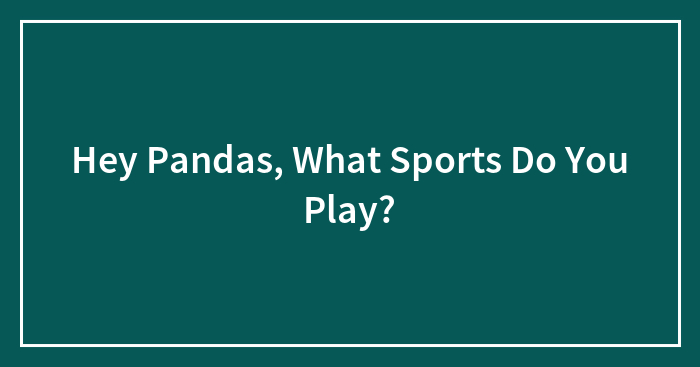 Hey Pandas, What Sports Do You Play? (Closed)