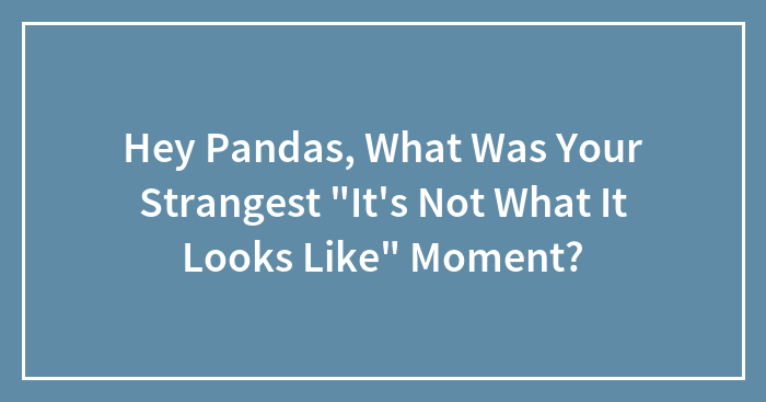 Hey Pandas, What Was Your Strangest “It’s Not What It Looks Like” Moment? (Closed)