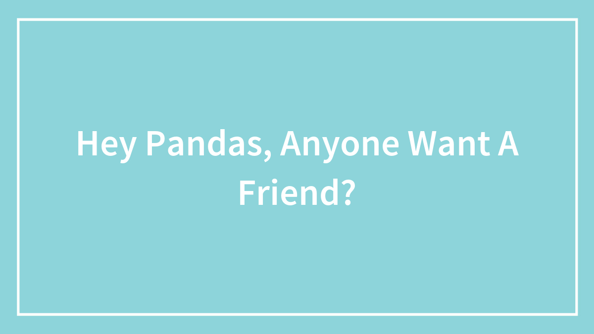 Hey Pandas, Anyone Want A Friend?