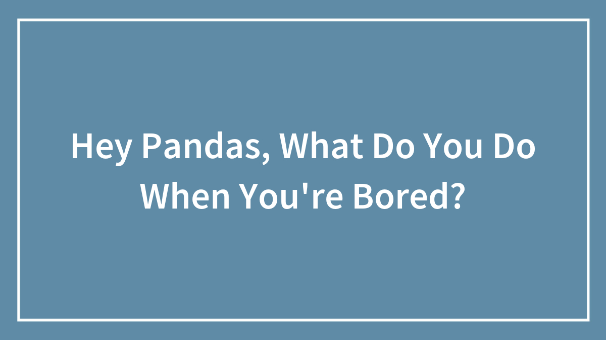 Hey Pandas, What Do You Do When You’re Bored?