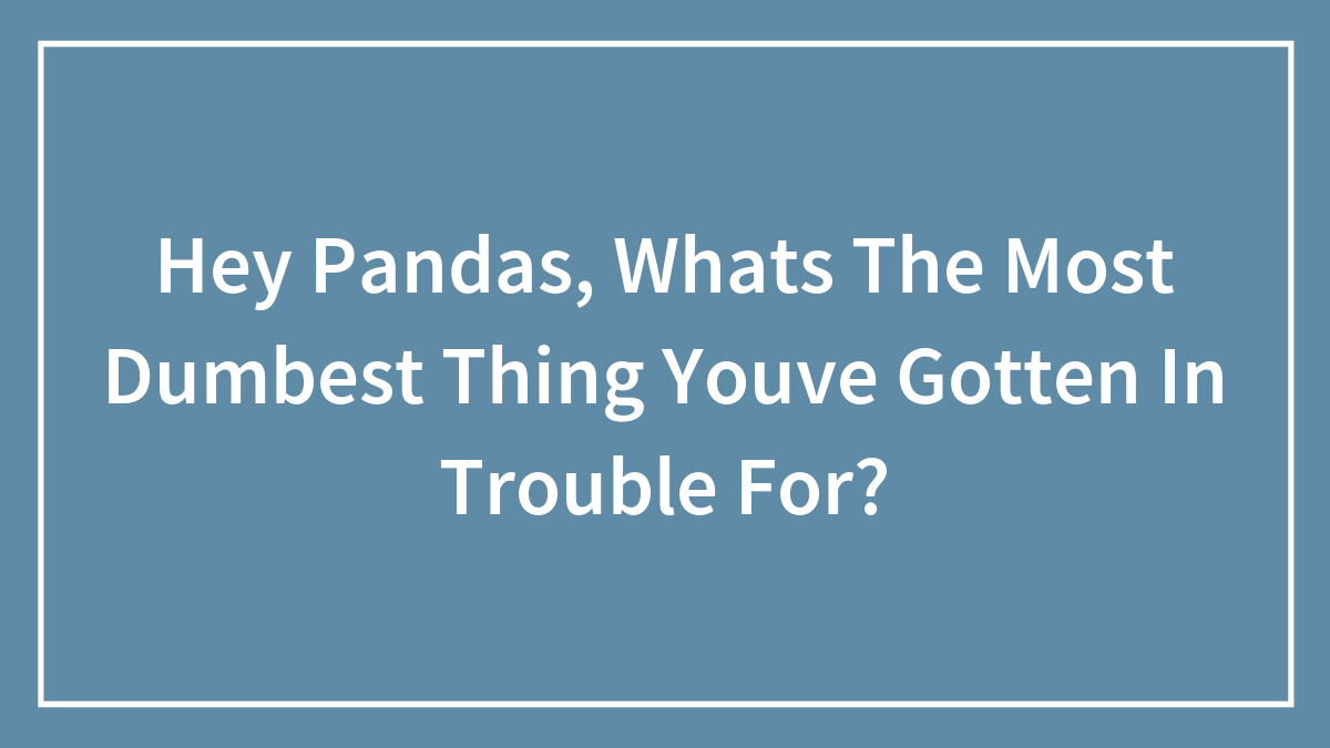 Hey Pandas, Whats The Most Dumbest Thing Youve Gotten In Trouble For?