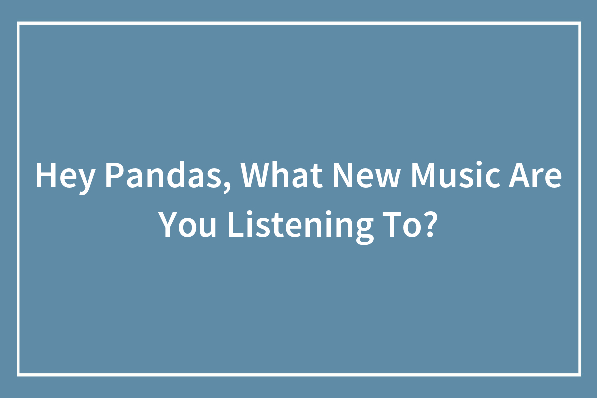 Hey Pandas, What New Music Are You Listening To? (Closed) | Bored Panda