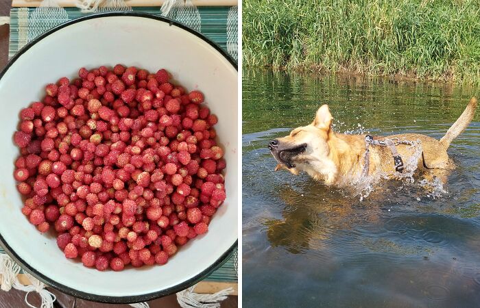 Hey Pandas, Post A Picture Of Your Favorite Thing Related To Summer (Closed)