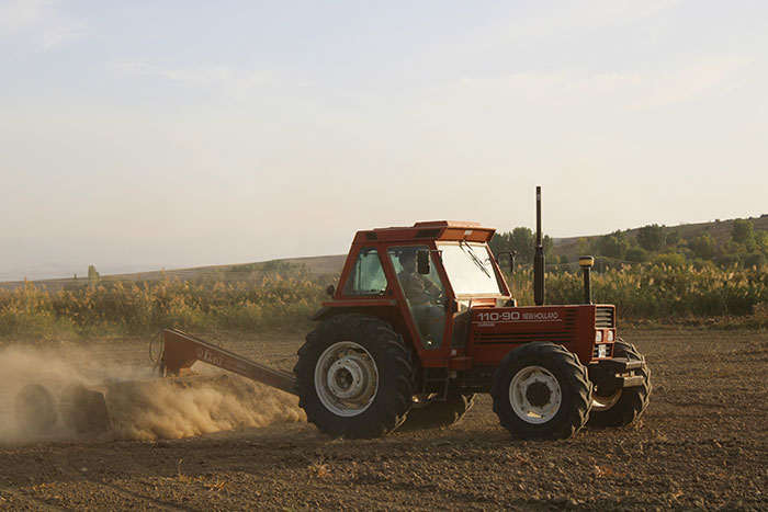 "What’s The Cringiest Thing You’ve Seen A Bride And Groom Do For Their Wedding?" (40 Answers)