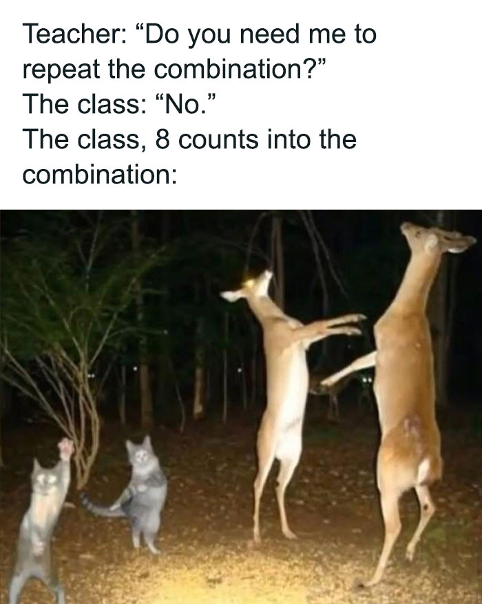 animals dancing in the dark meme