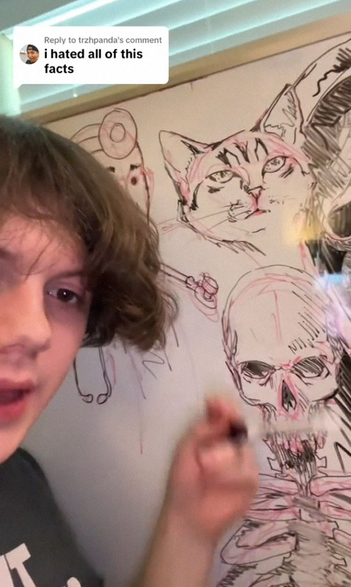 Disturbing-Facts-Tiktok-Criminal-Acttv