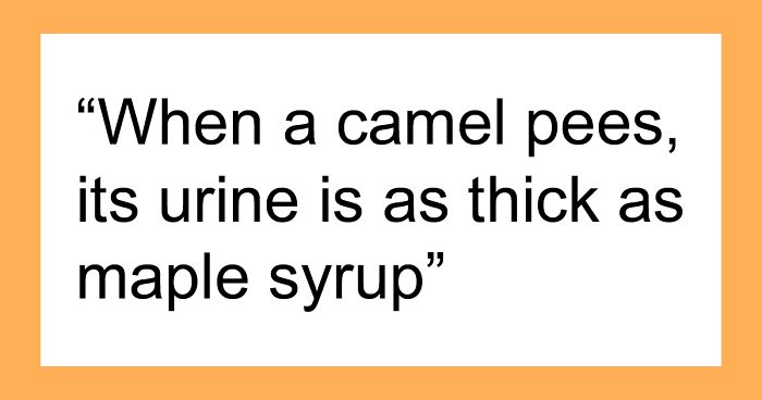 30 Haunting Real-Life Disturbing Facts You’ve Probably Never Heard